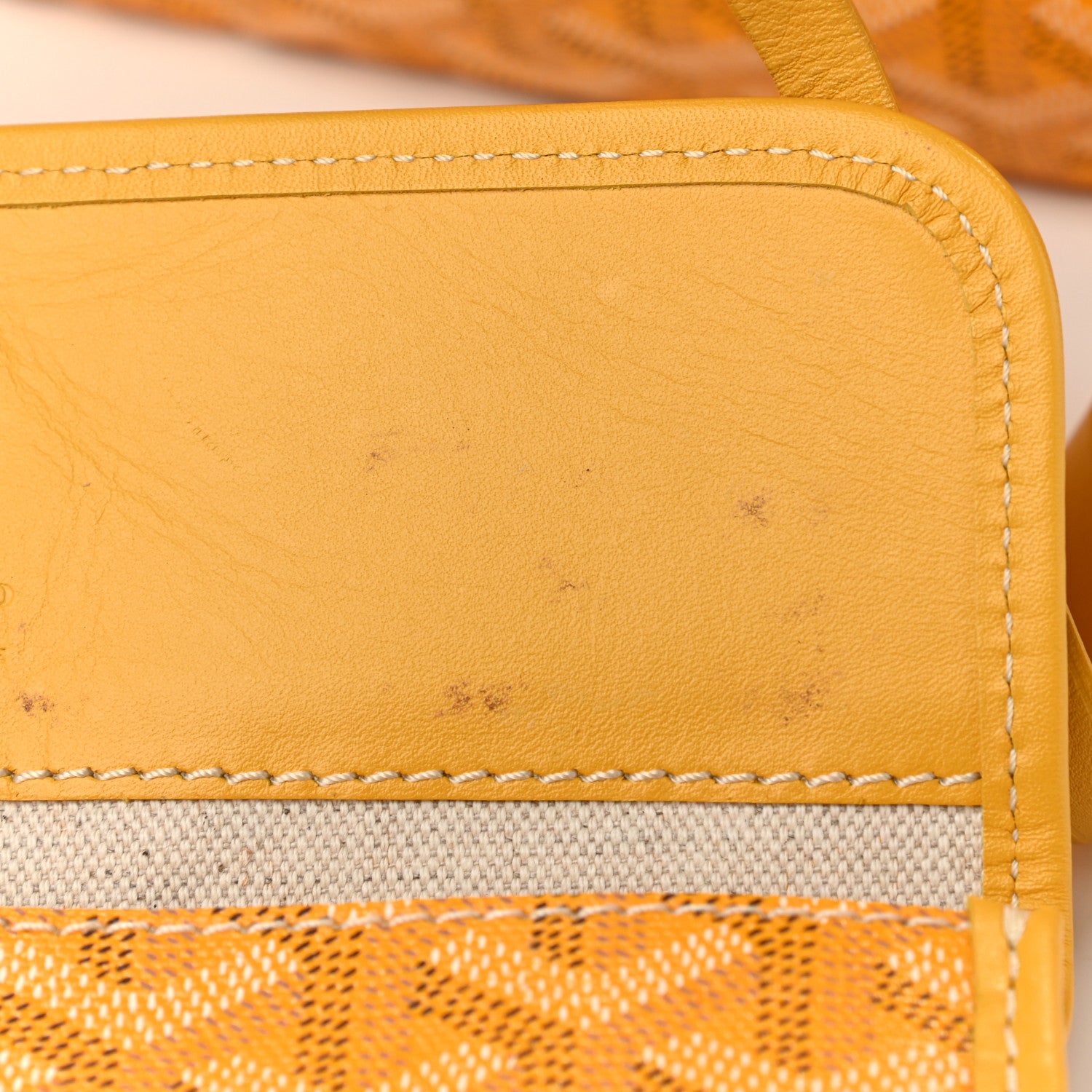 Goyard Goyardine Saint Louis PM Yellow 14 of 14