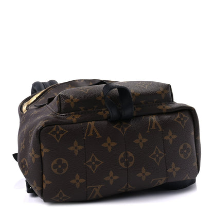 Louis Vuitton Monogram Palm Springs Backpack PM 3 of 7
