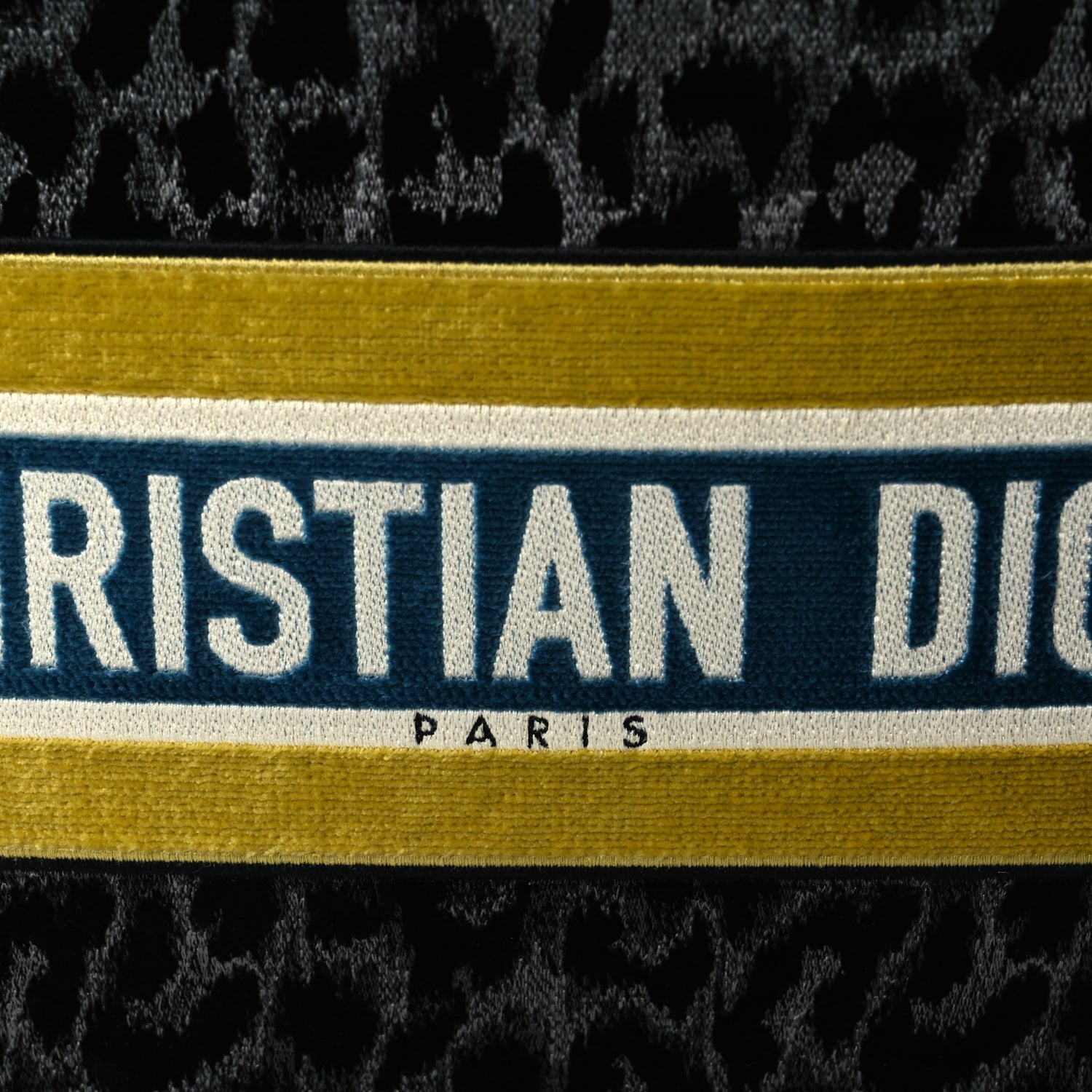Christian Dior Velvet Mizza Embroidered Medium Leopard Book Tote Black Yellow Blue 6 of 8