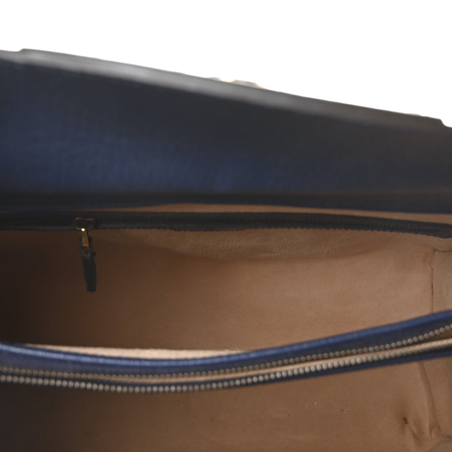 Textured Dollar Calfskin Web Medium Diana Tote Bag Royal Crop