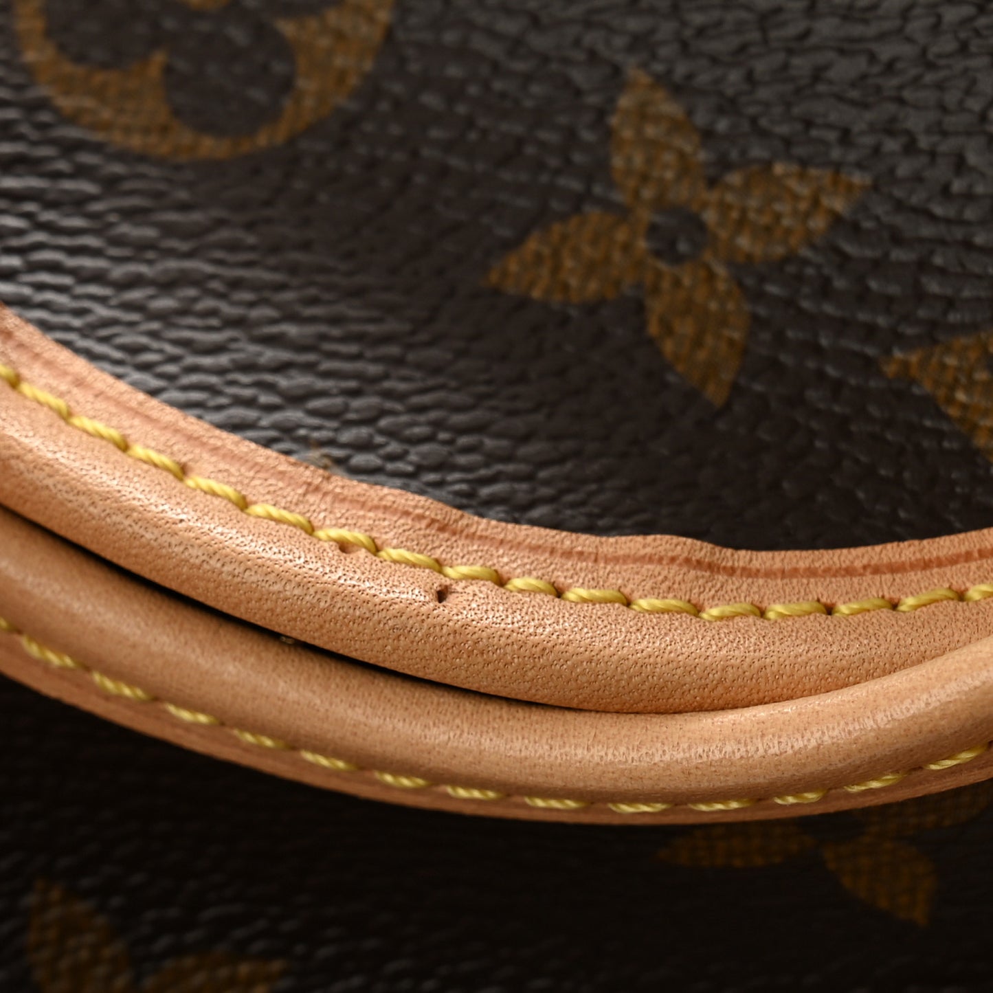 Monogram Dog Carrier 45