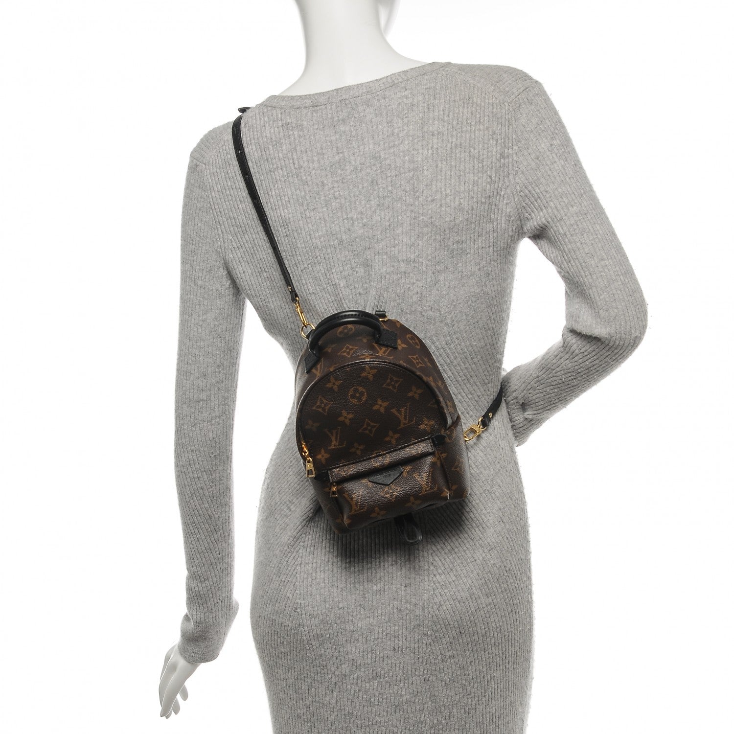 Louis Vuitton Monogram Palm Springs Backpack Mini 2 of 6