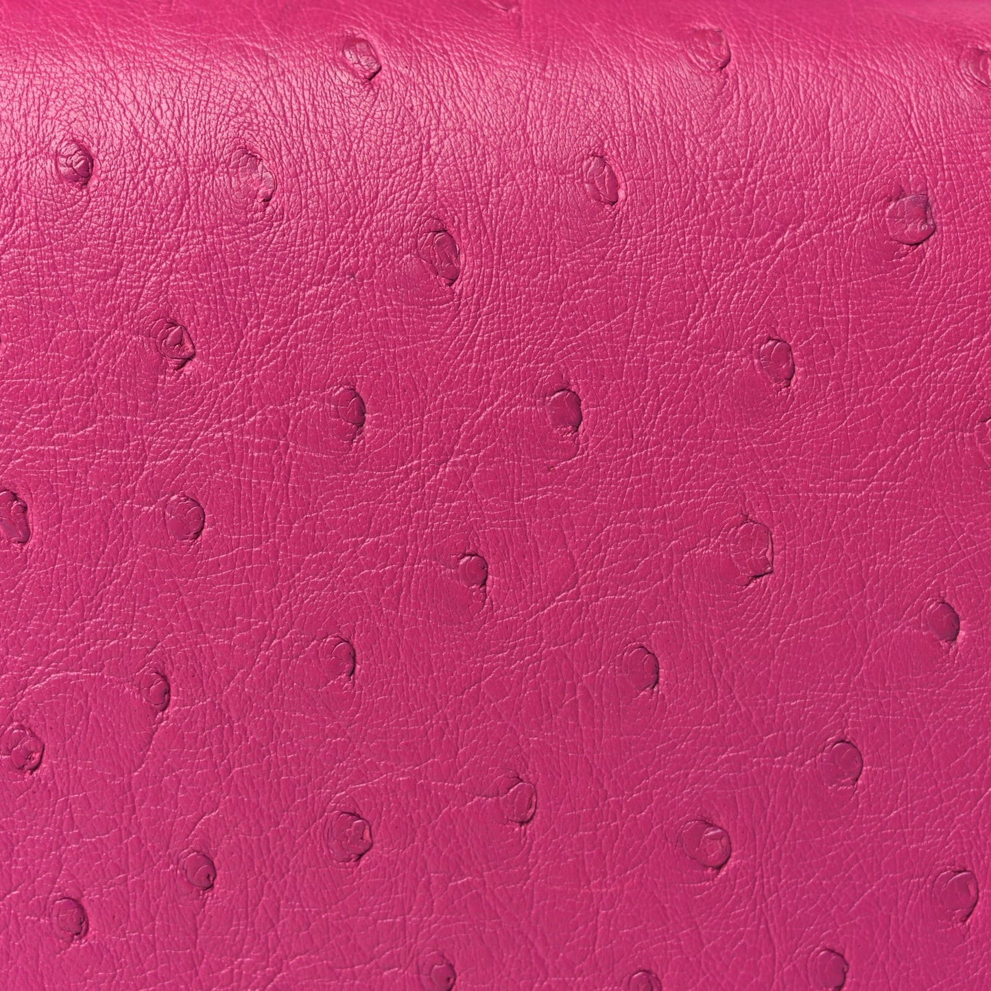 Ostrich Constance 18 Rose Pourpre