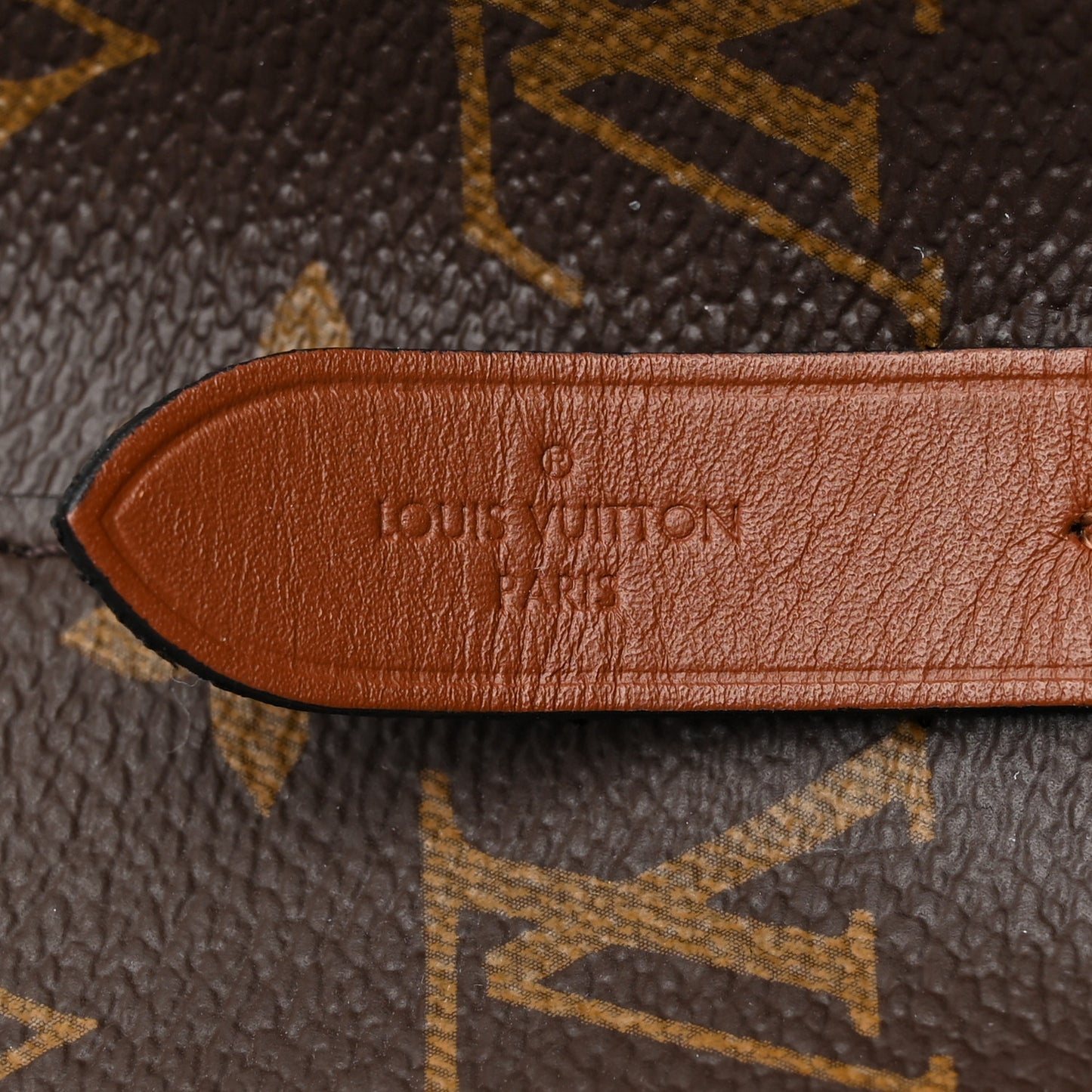 Monogram Neonoe MM Caramel