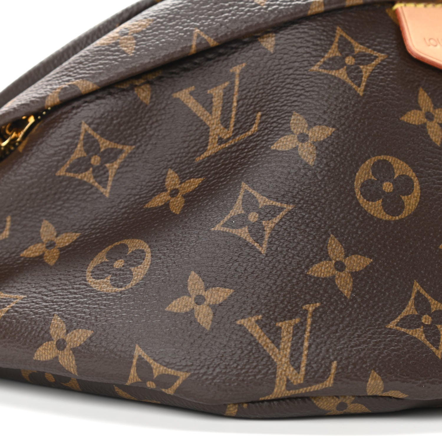 Louis Vuitton Monogram Bumbag 8 of 10