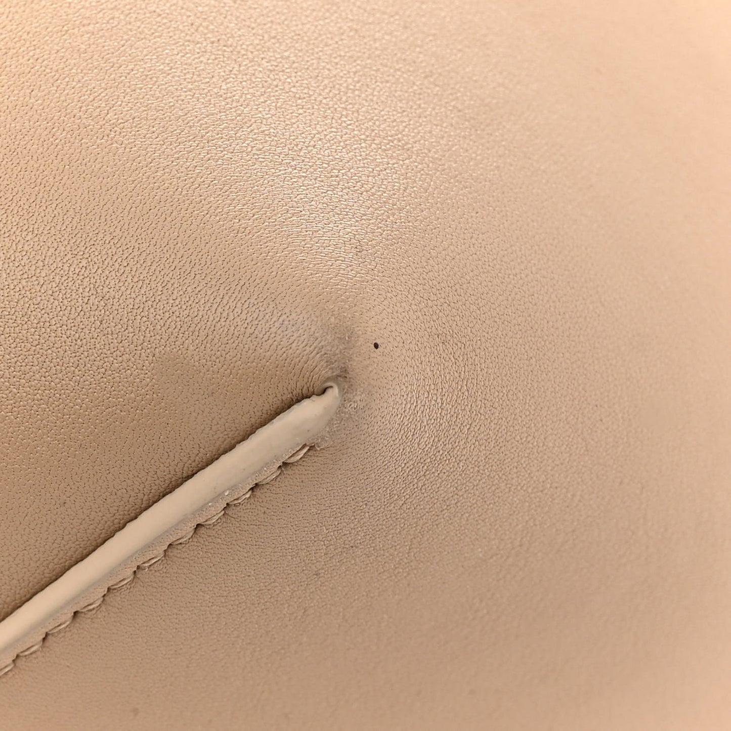 Calfskin Medium N/S Park Tote Dune