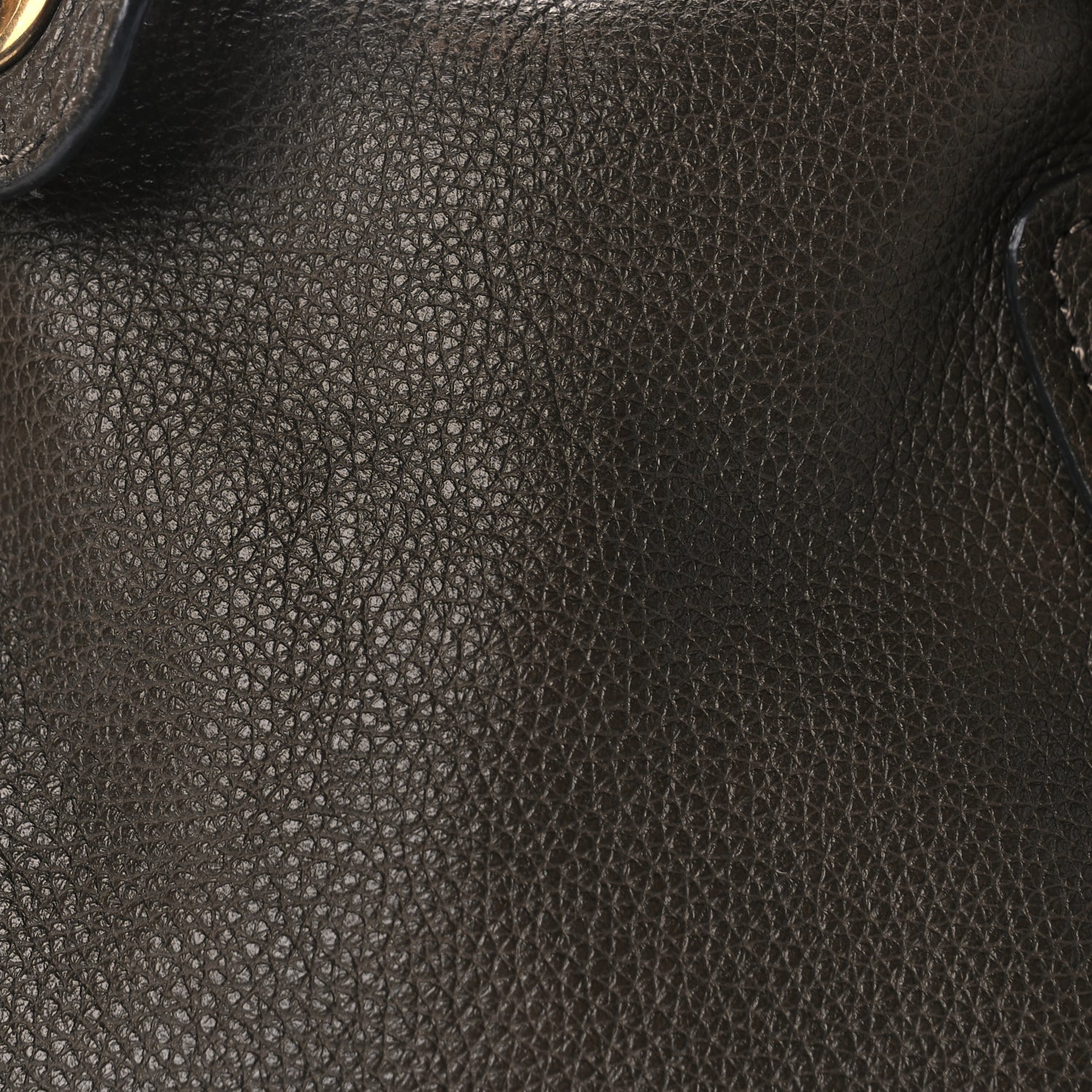 Chloe Calfskin Medium Paraty Rock Rock 6 of 8