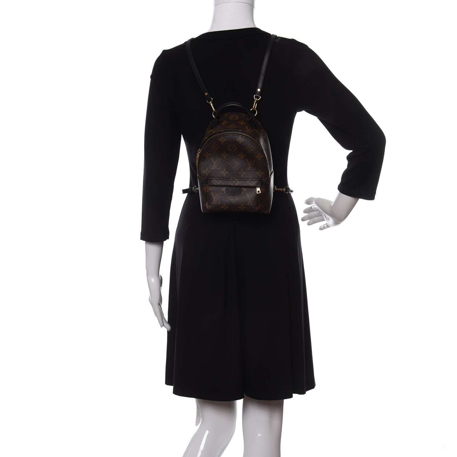 Louis Vuitton Monogram Palm Springs Backpack Mini 2 of 10