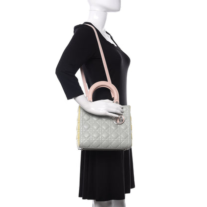 Christian Dior Lambskin Cannage Medium Tri-Color Lady Dior Multicolor 2 of 9