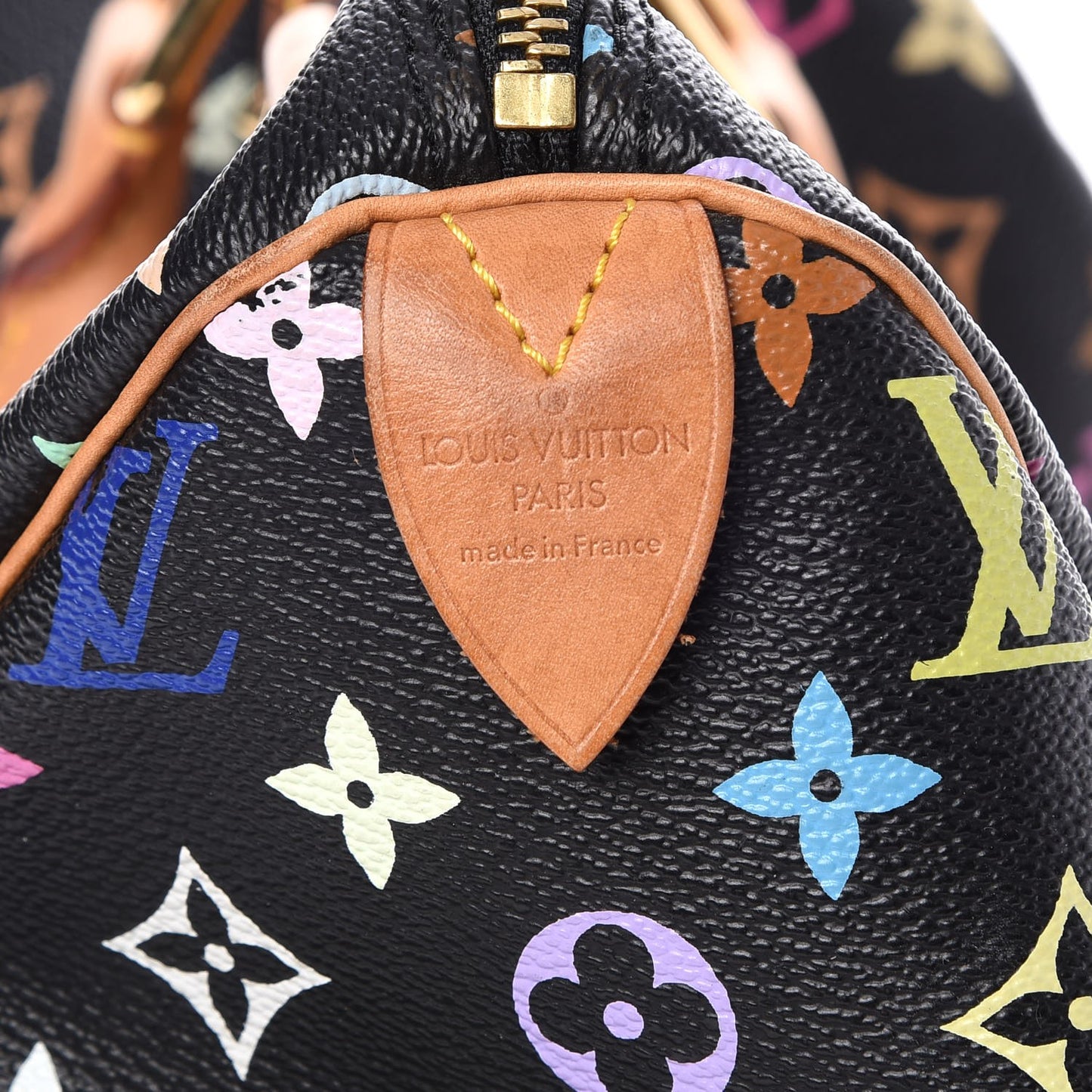 Monogram Multicolor Speedy 30 Black