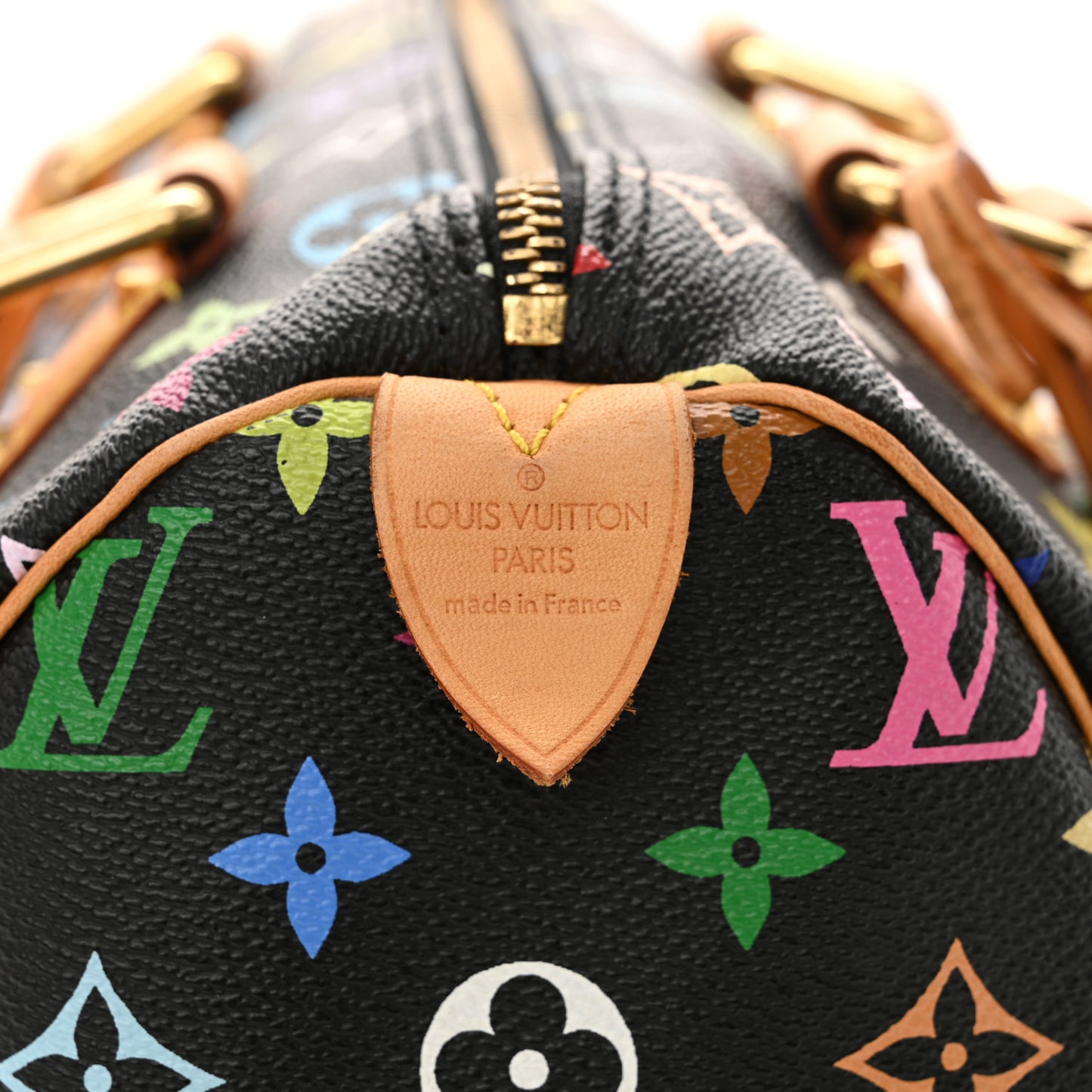Monogram Multicolor Speedy 30 Black
