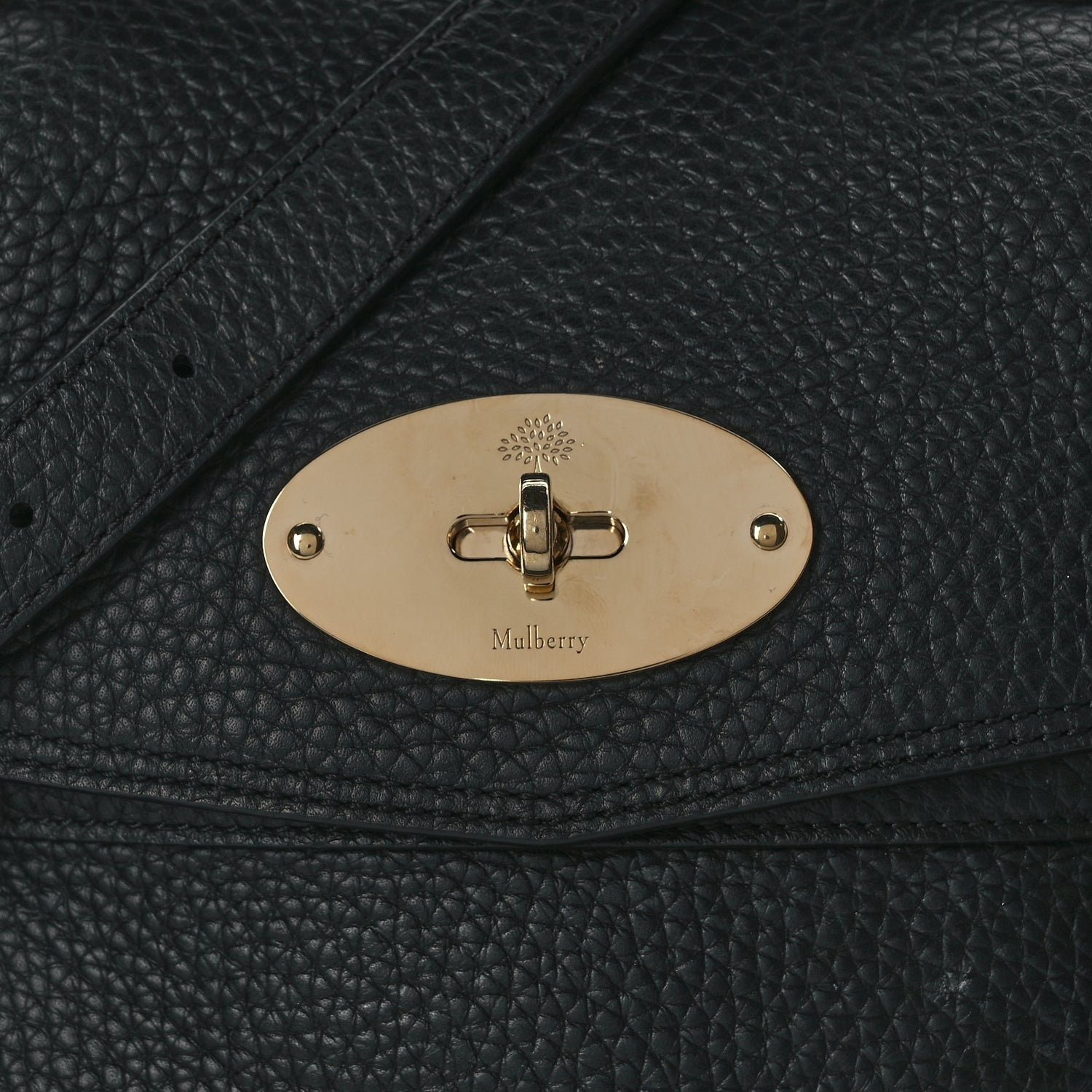 Mulberry Heavy Grain Alexa Black 6 of 8