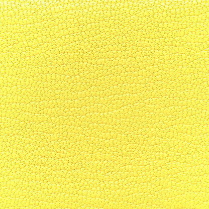 Hermes Chevre Mysore Calvi Card Case Lime 10 of 13