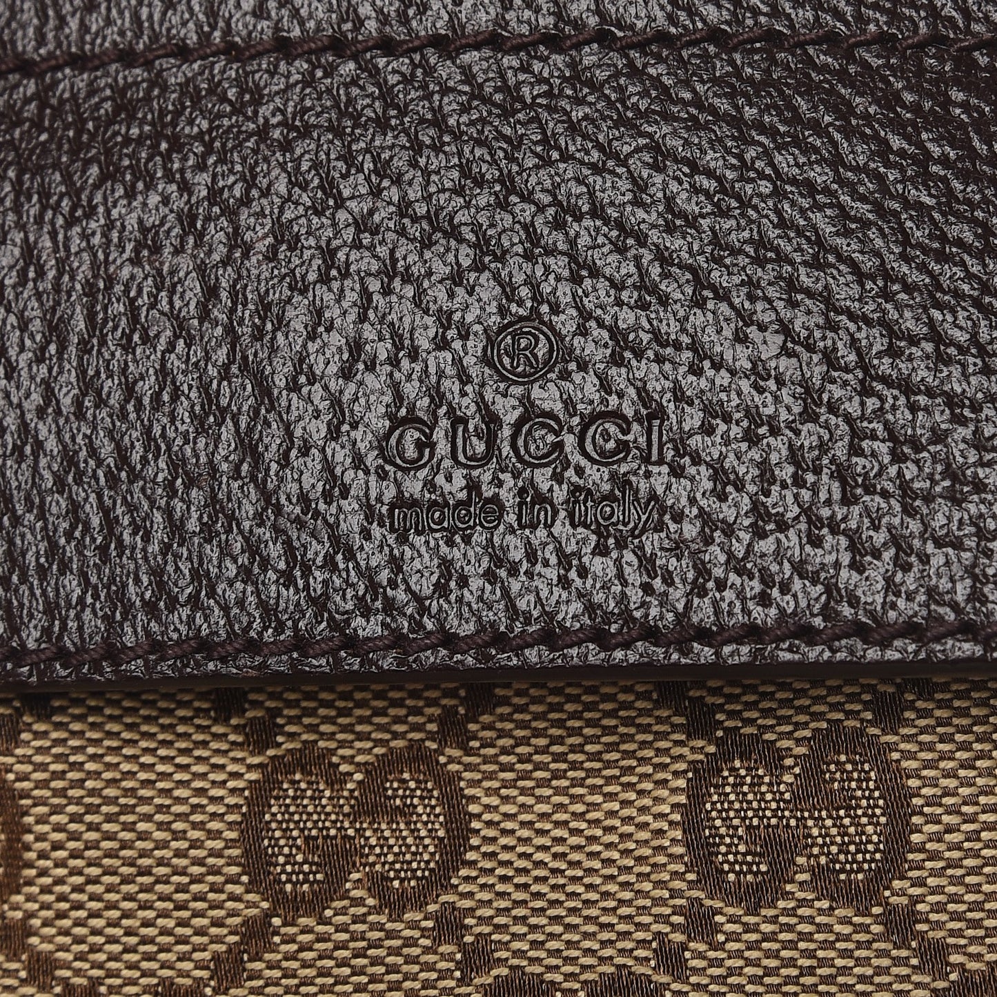 Monogram Web Belt Bag Dark Brown