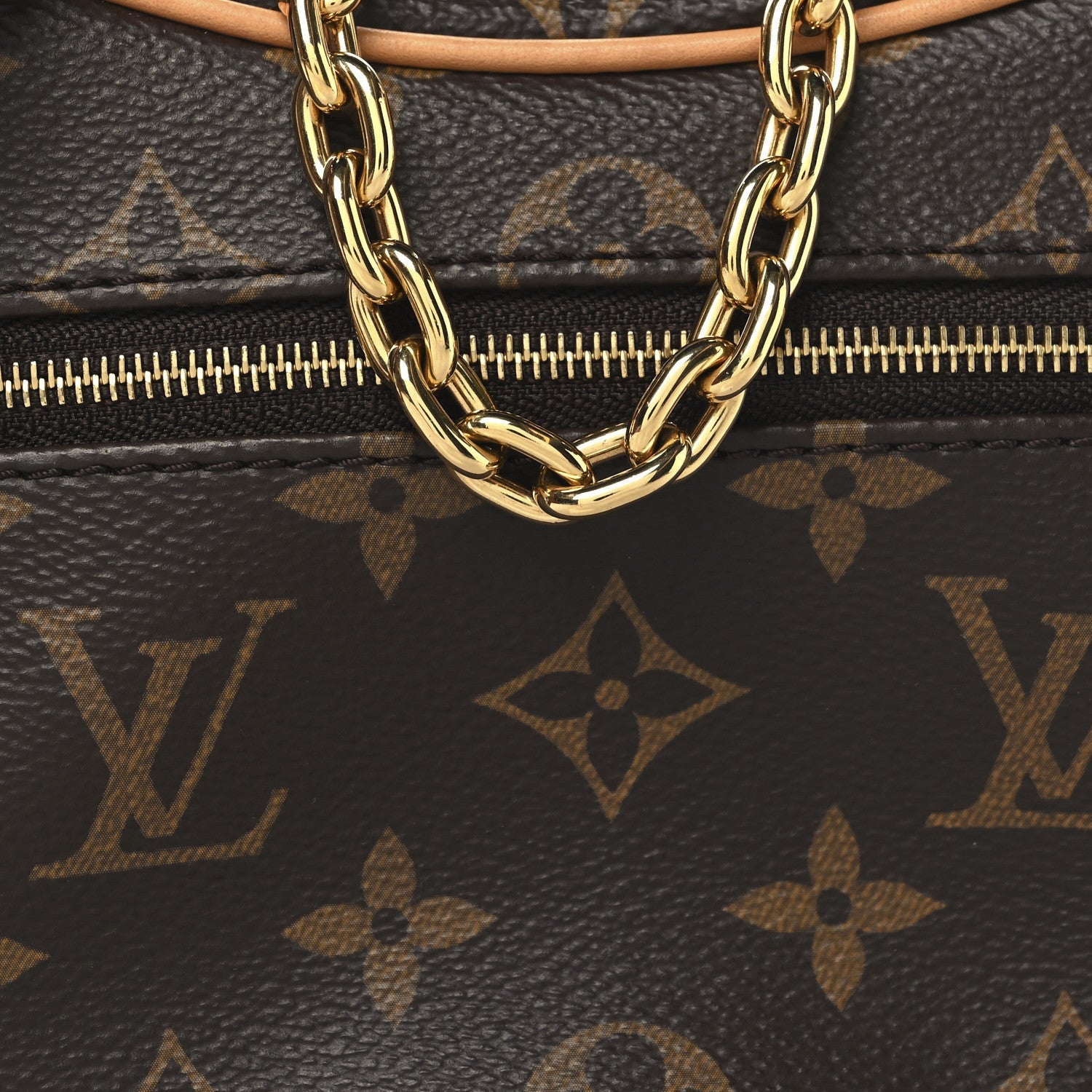 Louis Vuitton Monogram Loop 7 of 7