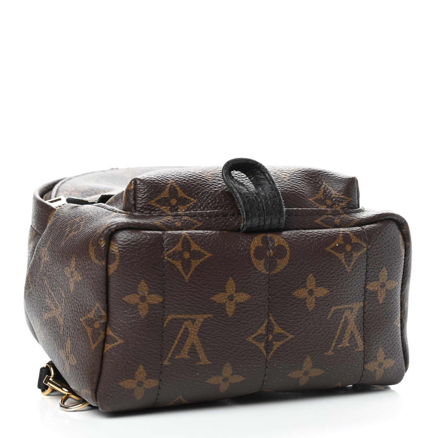 Monogram Palm Springs Backpack Mini