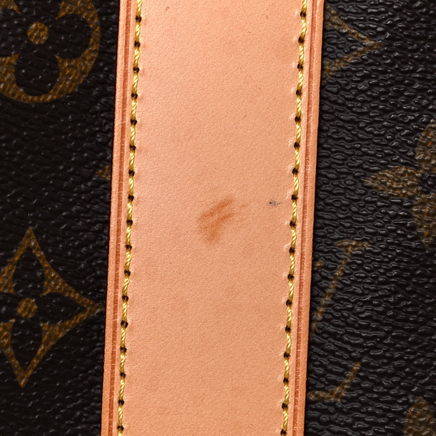 Monogram Carryall