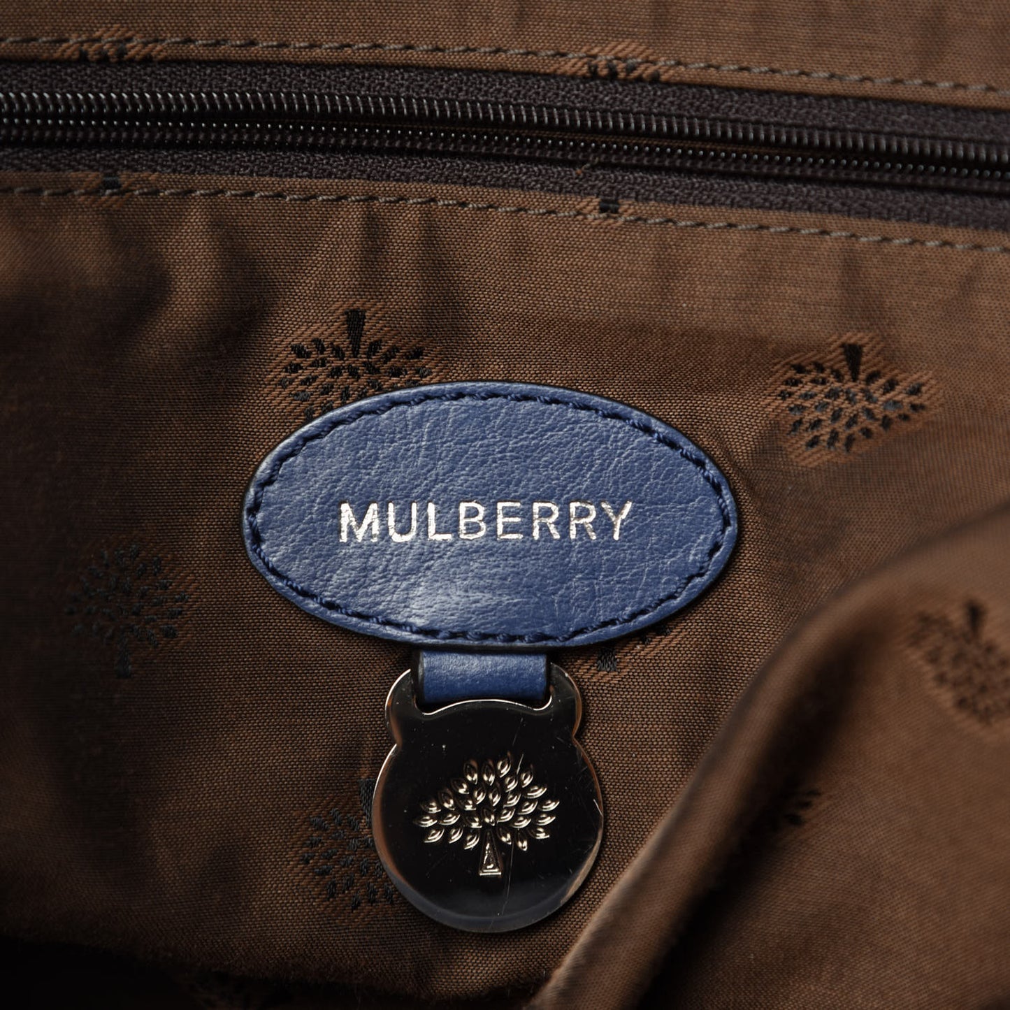 Polished Buffalo Medium Alexa Blue