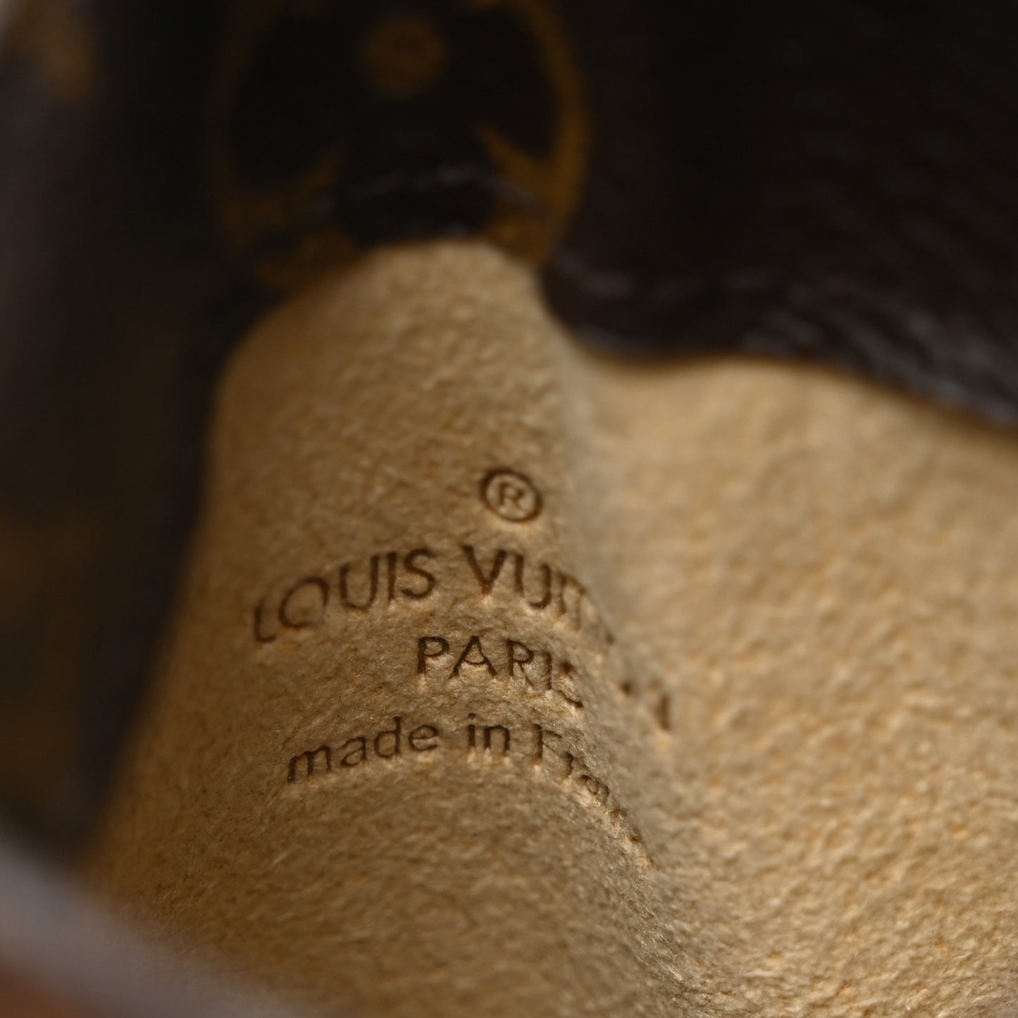 Monogram Sunglasses Case MM