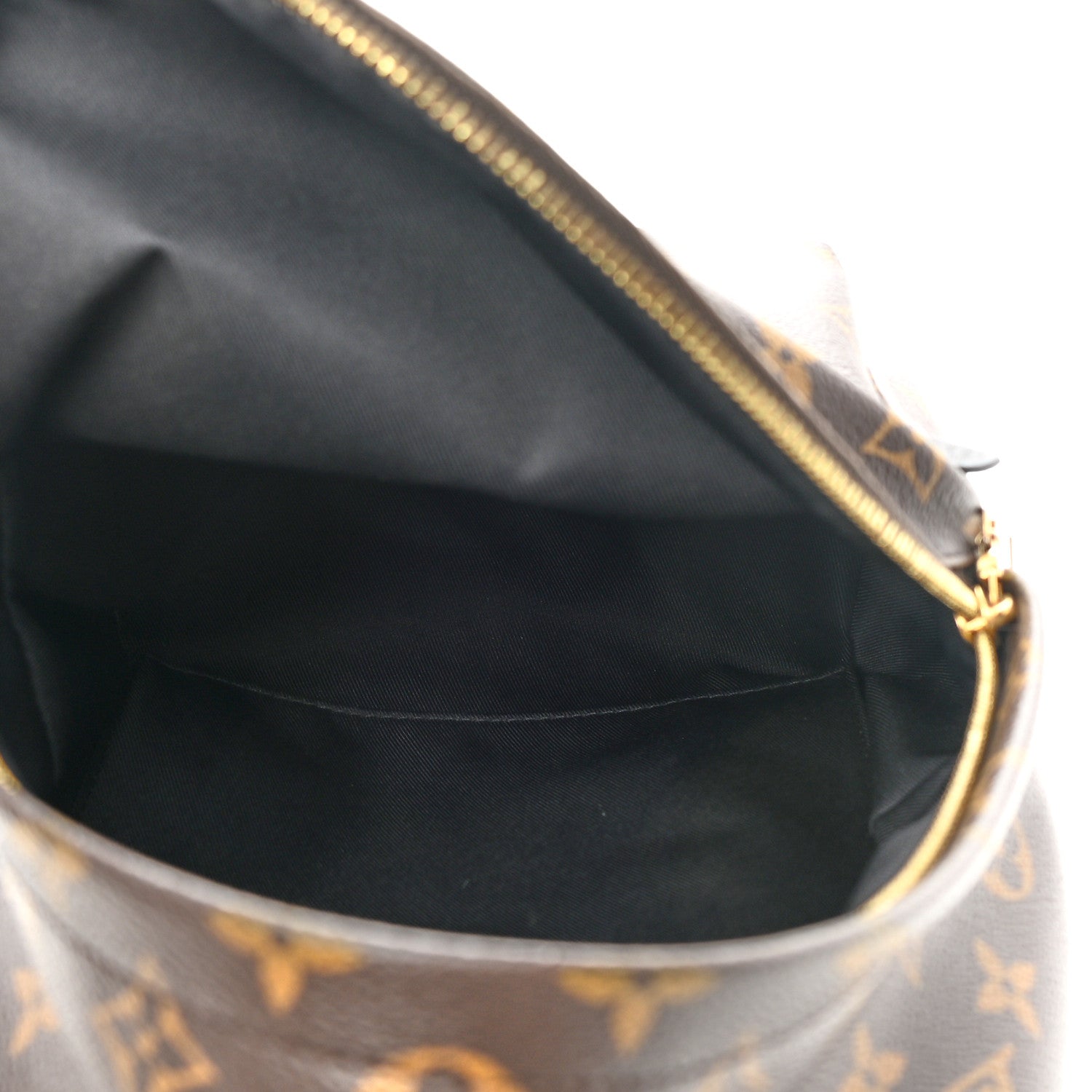 Louis Vuitton Monogram Palm Springs Backpack PM 5 of 11