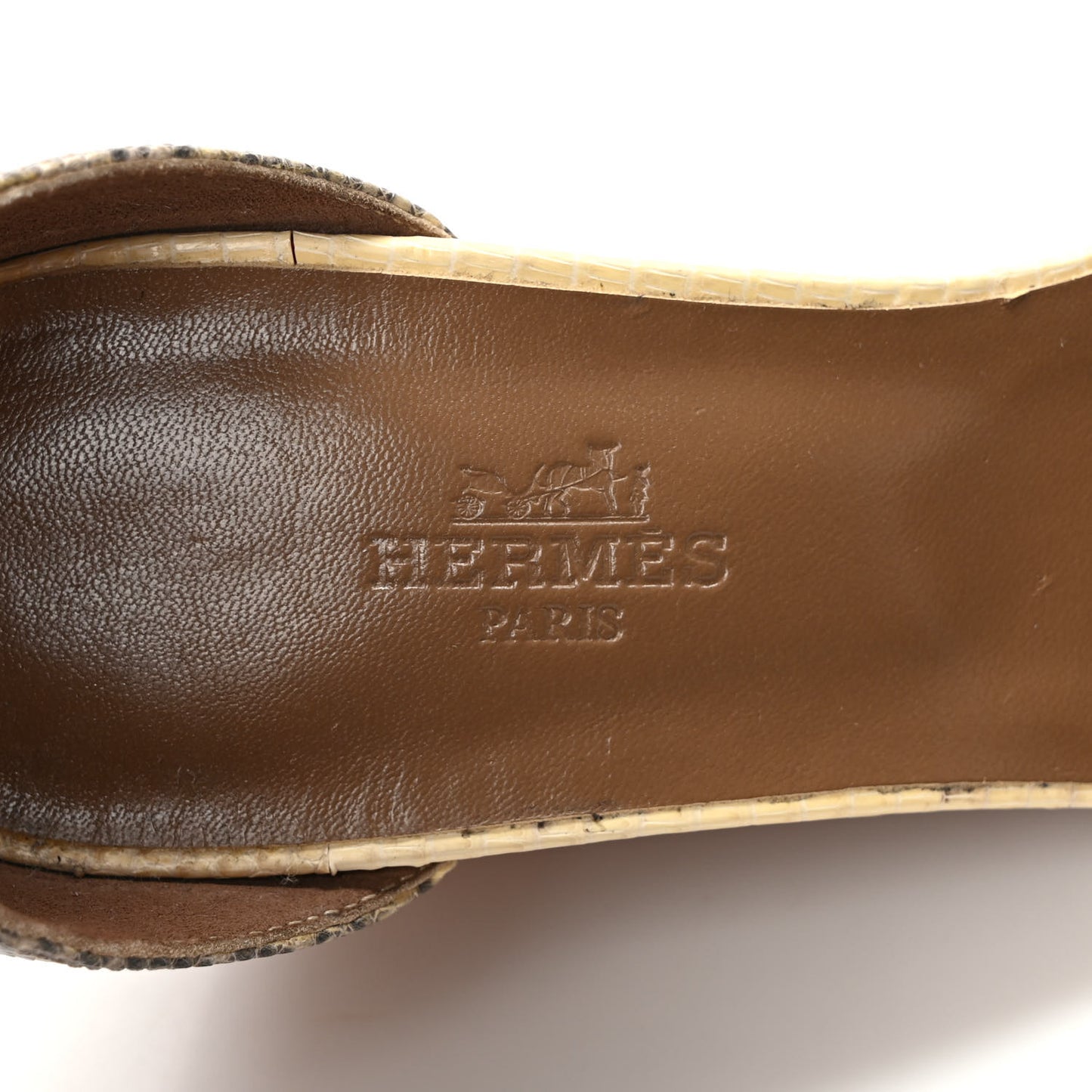 Lizard Legend Wedge Sandals Ombre