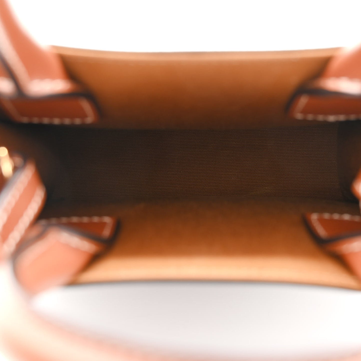 Triomphe Canvas Calfskin Mini Vertical Cabas Tan