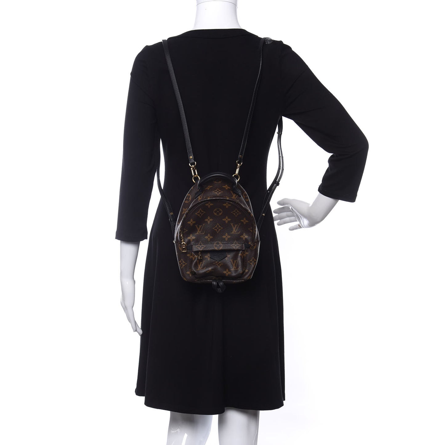 Monogram Palm Springs Backpack Mini