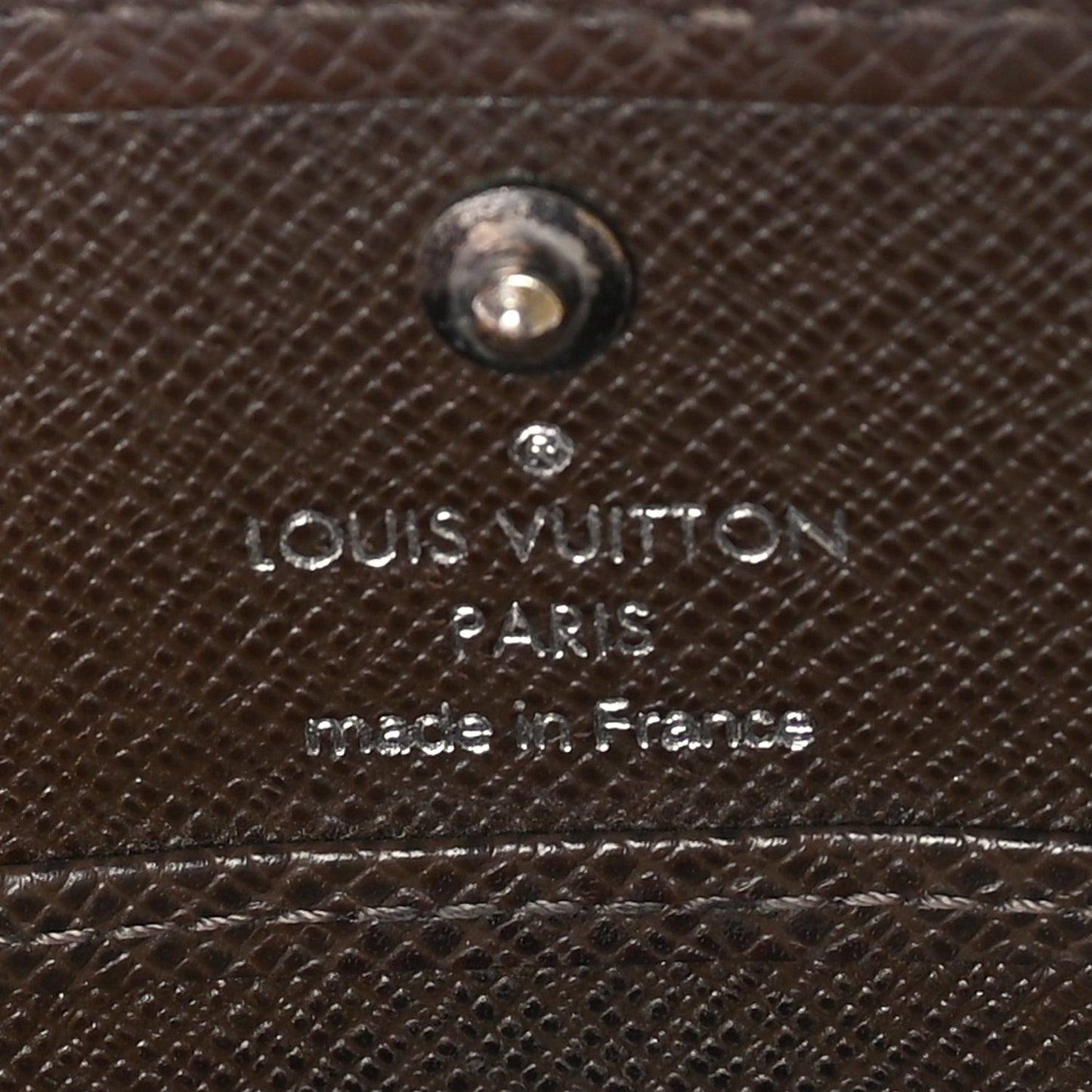 Taiga Porte-Monnaie Boite Coin Purse  Grizzli
