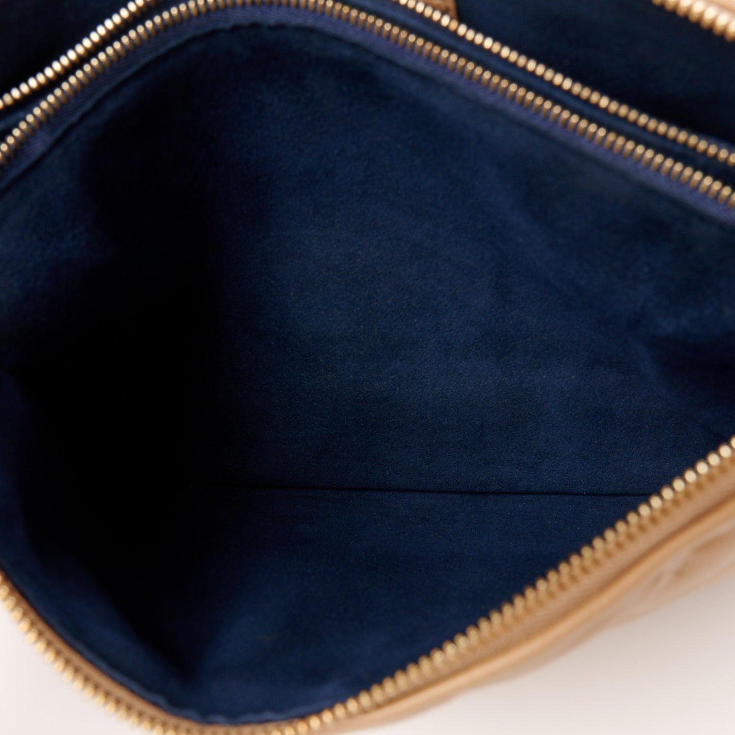 Lambskin Embossed Monogram Coussin PM Camel