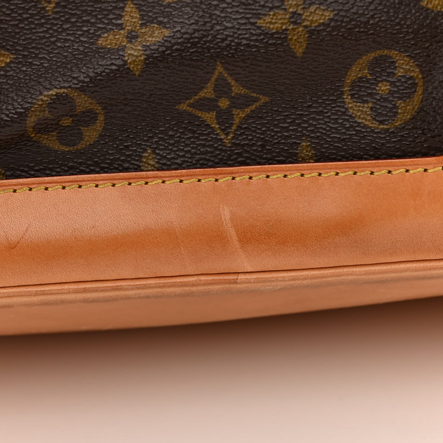 Monogram Montsouris GM Backpack