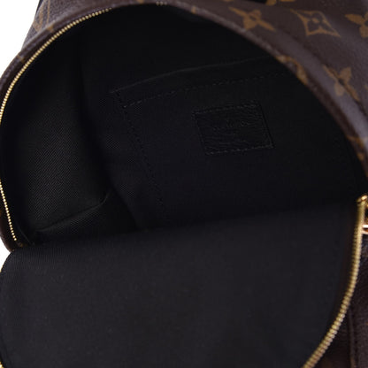 Louis Vuitton Monogram Palm Springs Backpack Mini 5 of 7