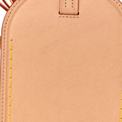 Louis Vuitton Vachetta Name Tag XL Clutch 12 of 12