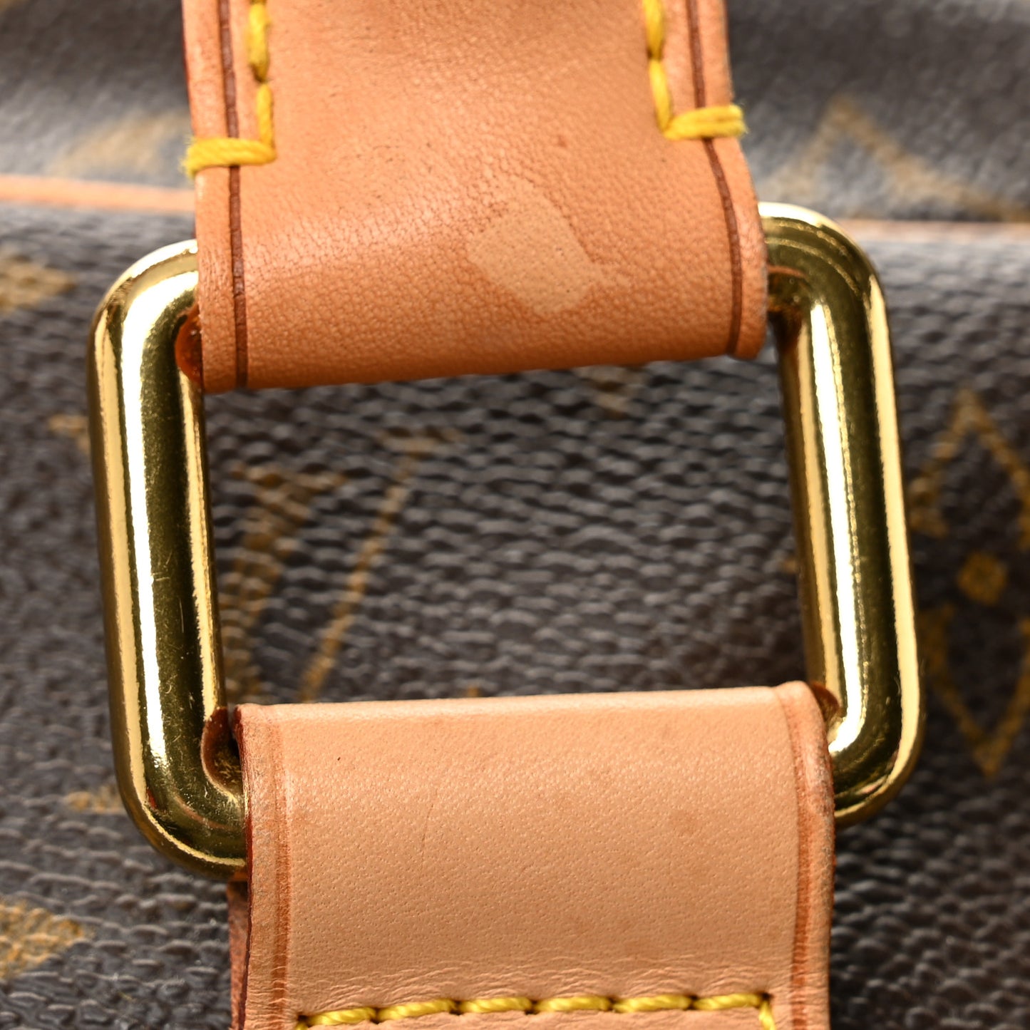 Monogram Carryall