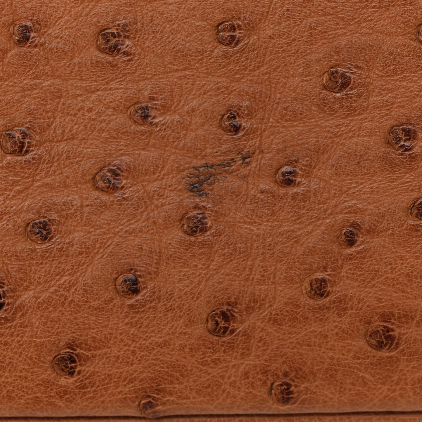 Ostrich HAC Birkin 32 Gold