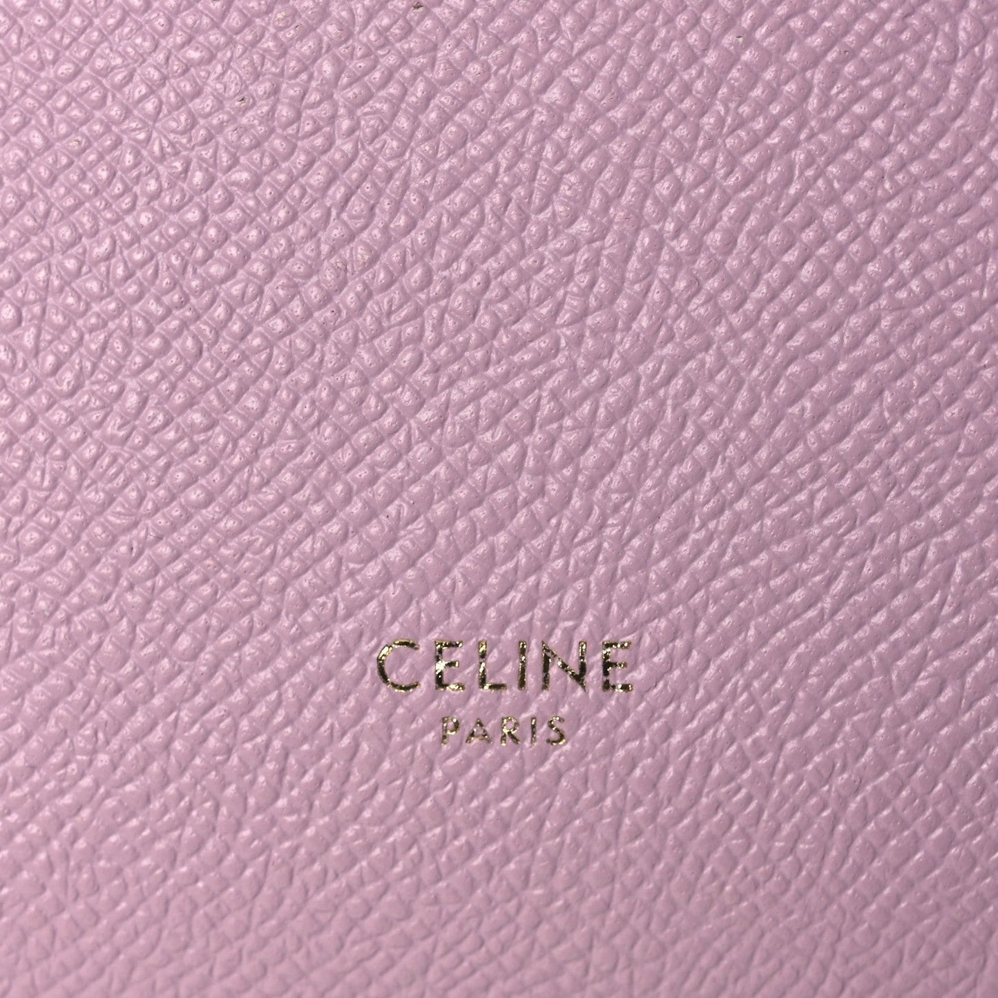 Grained Calfskin Nano Belt Bag Antique Rose