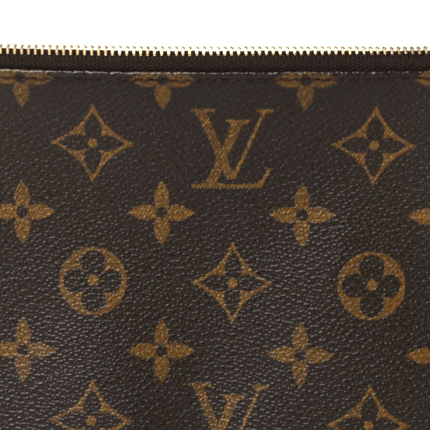 Monogram Pochette Accessories Brown