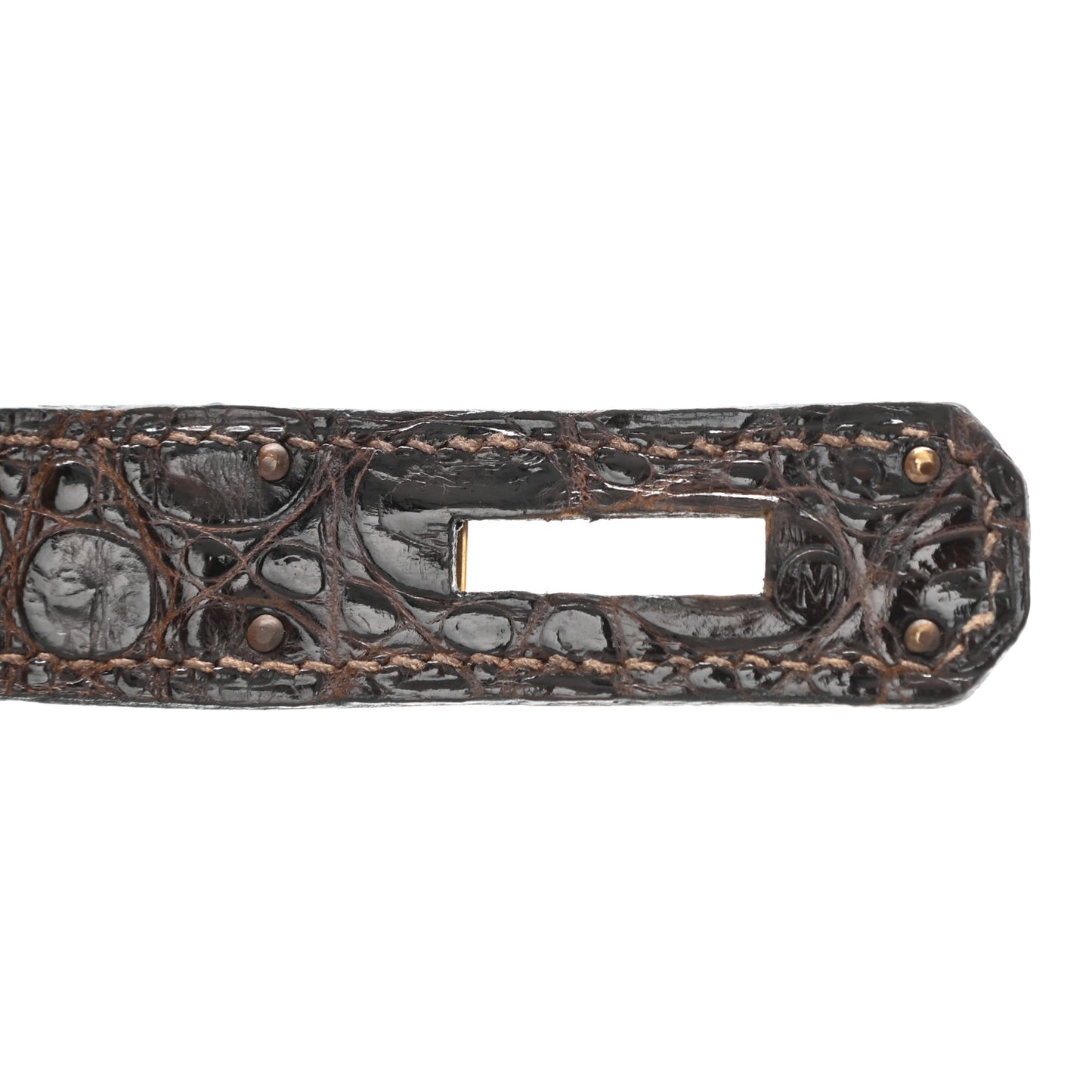 Shiny Porosus Crocodile Kelly Sellier 28