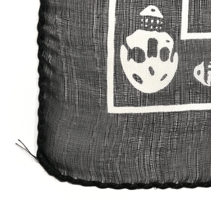 Alexander McQueen Silk Chiffon Skull Scarf Black Ivory 4 of 5