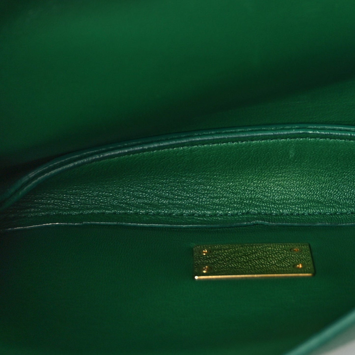 Calfskin Mount Envelope Bag Jungle