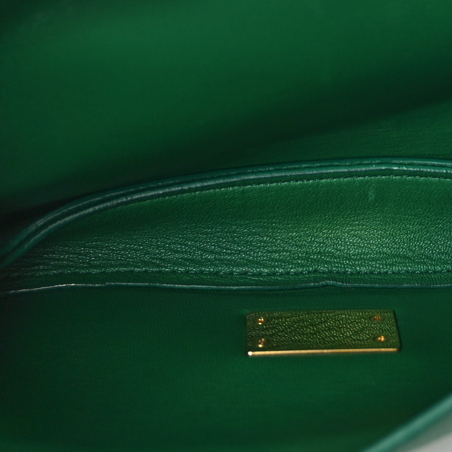 Bottega Veneta Calfskin Mount Envelope Bag Jungle 4 of 8