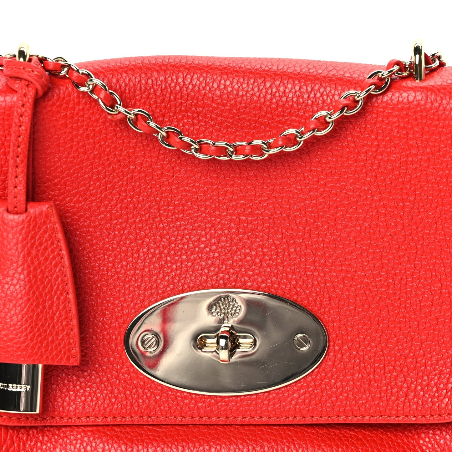 Glossy Goatskin Small Lily Flap Red