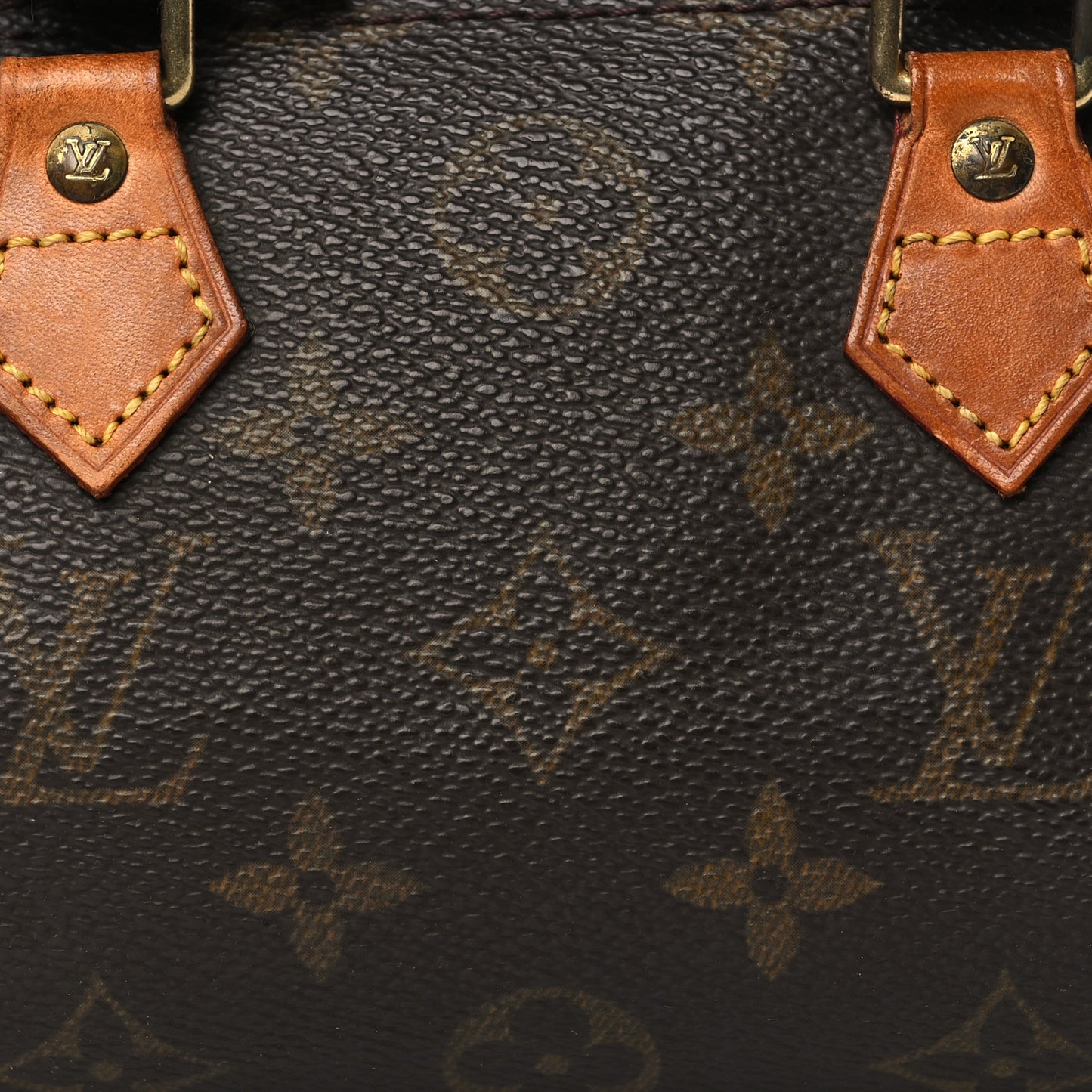 Monogram Mini Sac HL Speedy