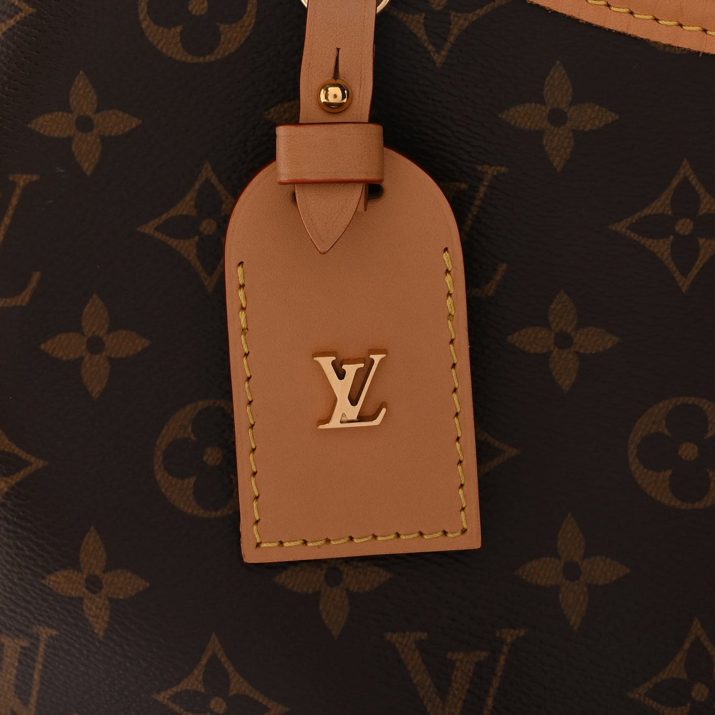 Monogram CarryAll PM