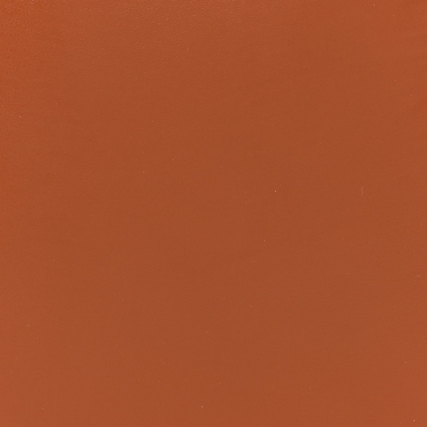 Lambskin Cat Hobo Tan