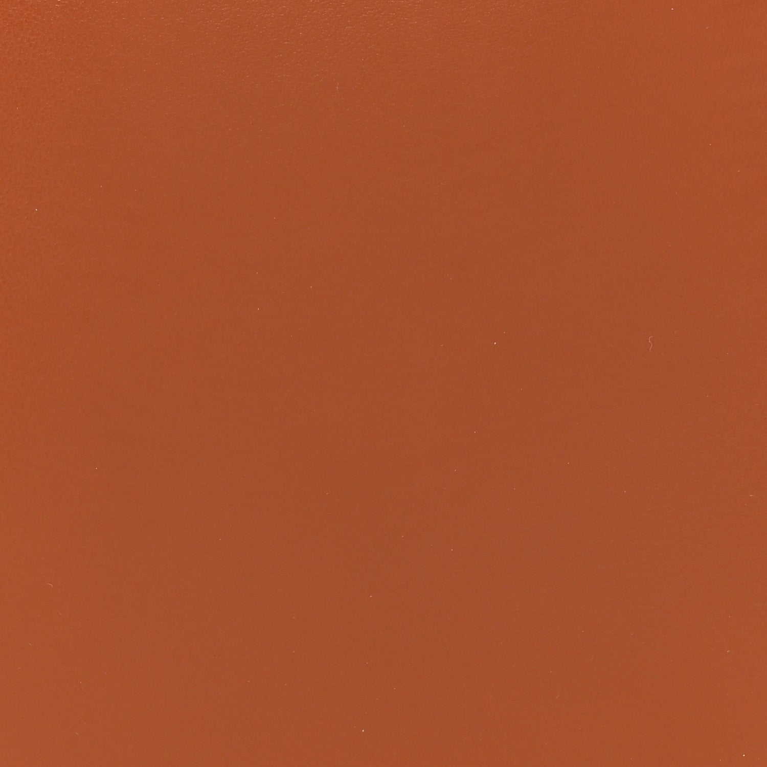 Lanvin Lambskin Cat Hobo Tan 7 of 9