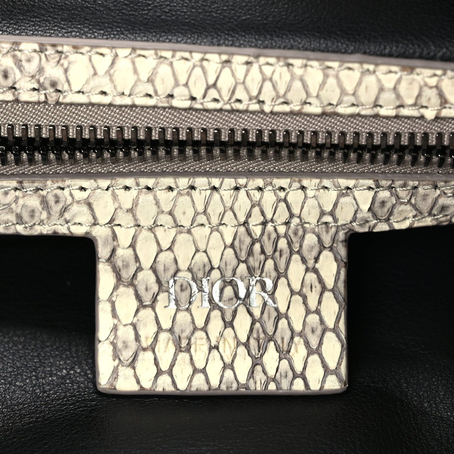 CHRISTIAN DIOR Snakeskin Saddle Soft Bag