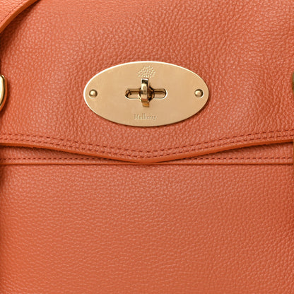 Mulberry Small Classic Grain Medium Alexa Apricot 6 of 9