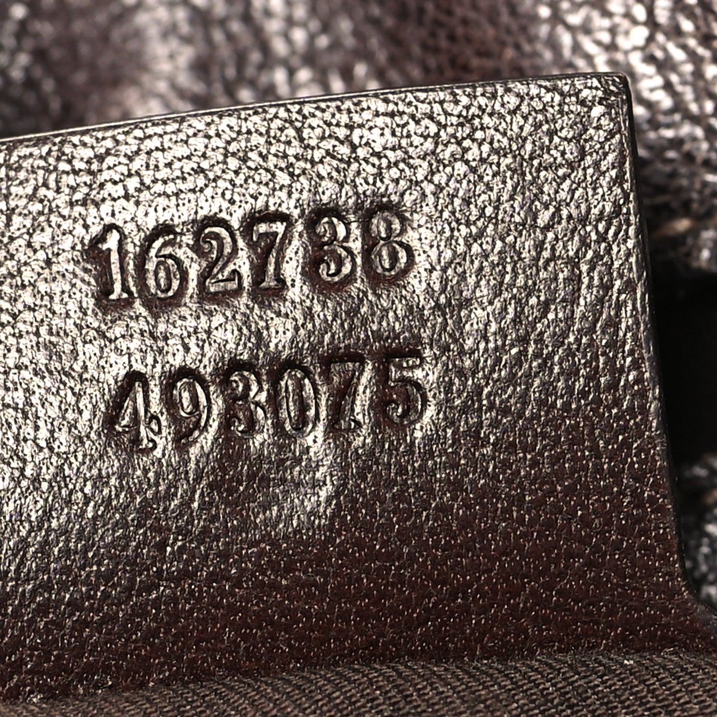 Monogram Positano Hobo Brown