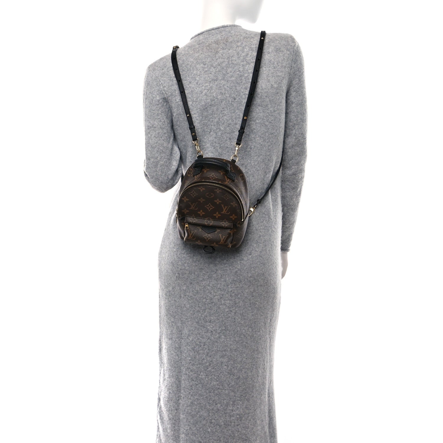 Louis Vuitton Monogram Palm Springs Backpack Mini 2 of 9