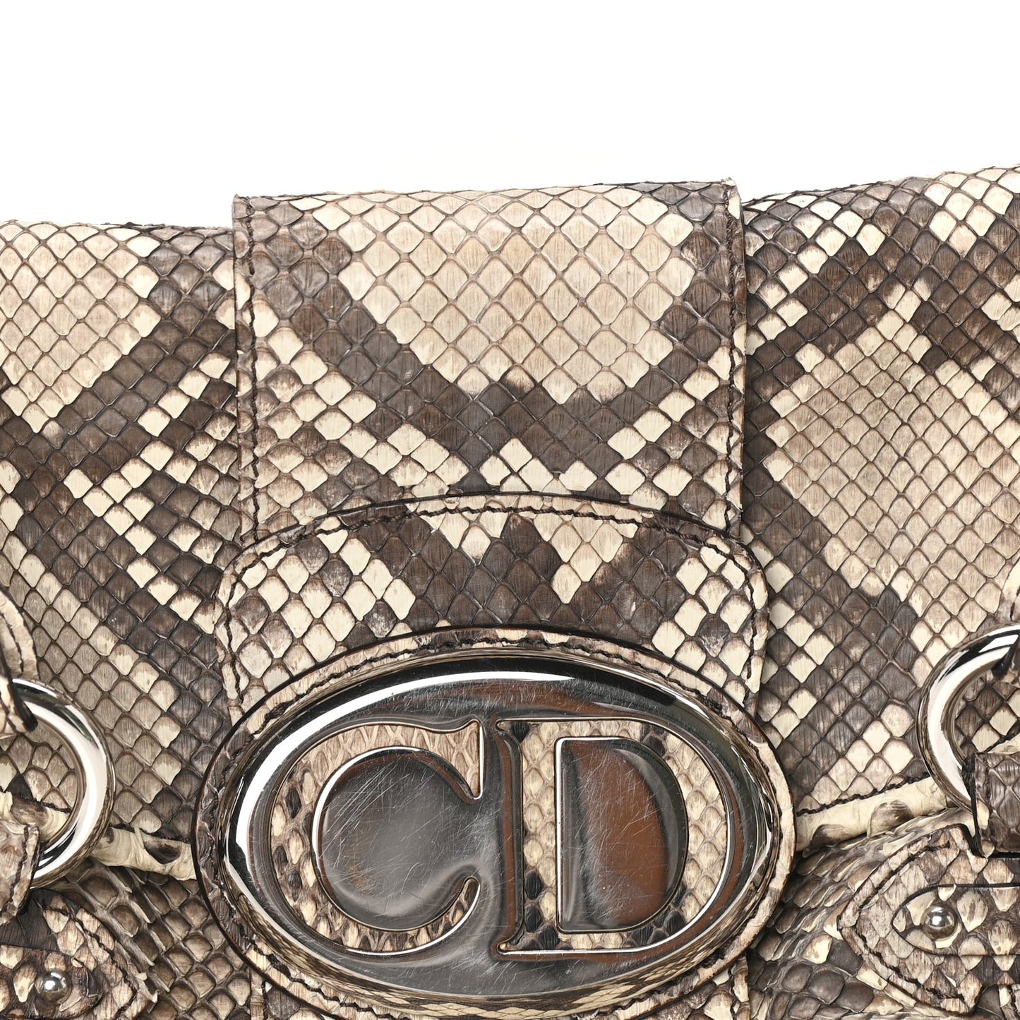Snakeskin Saint Germain Bag Beige